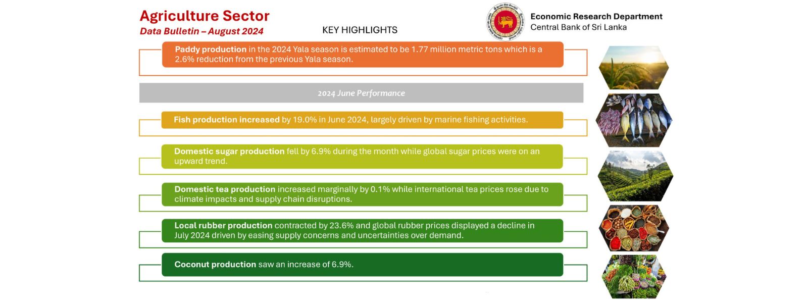 Fish Production Surges by 19% in June 2024